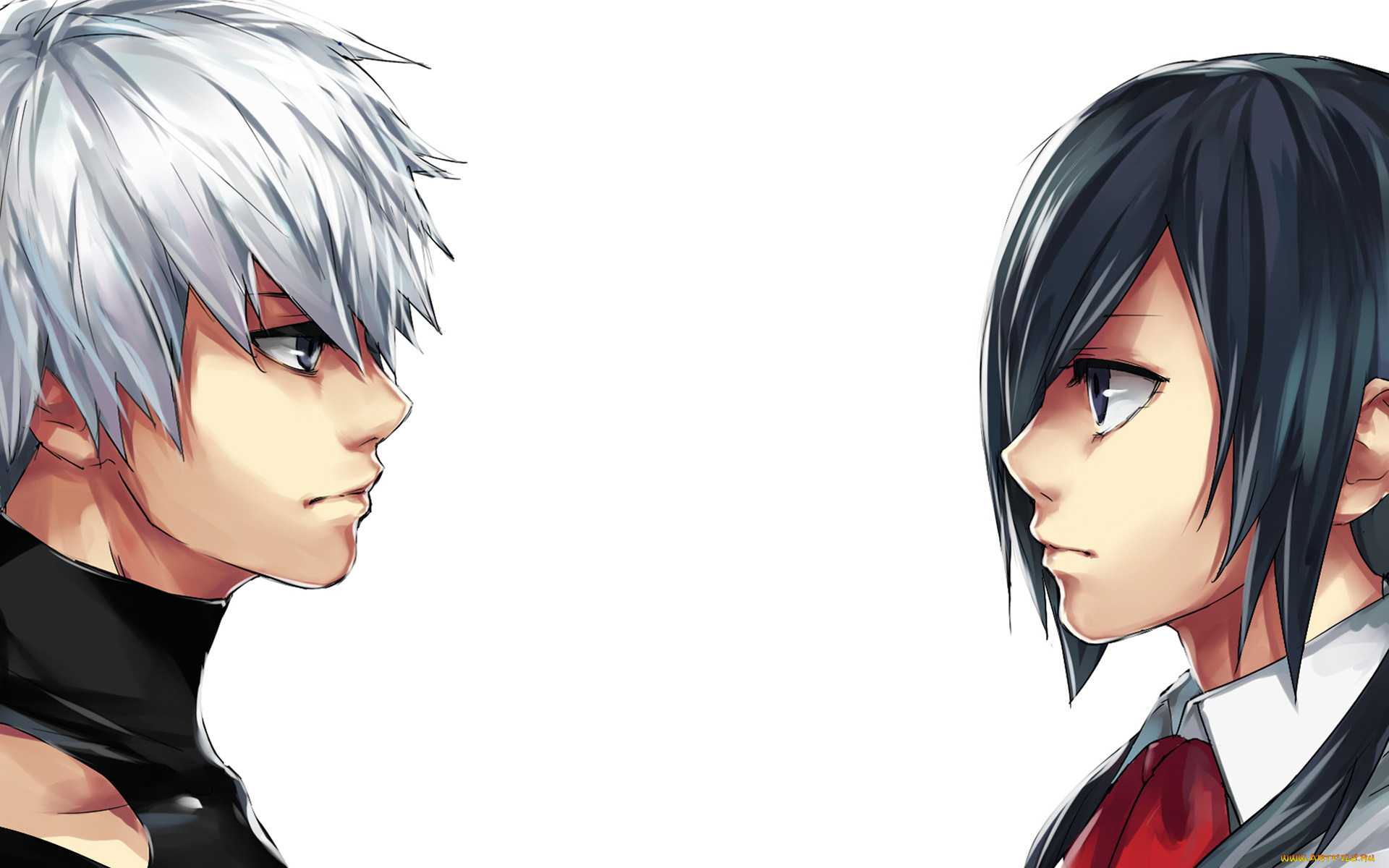 , tokyo ghoul, tokyo, ghoul, , , kaneki, ken, kirishima, touka